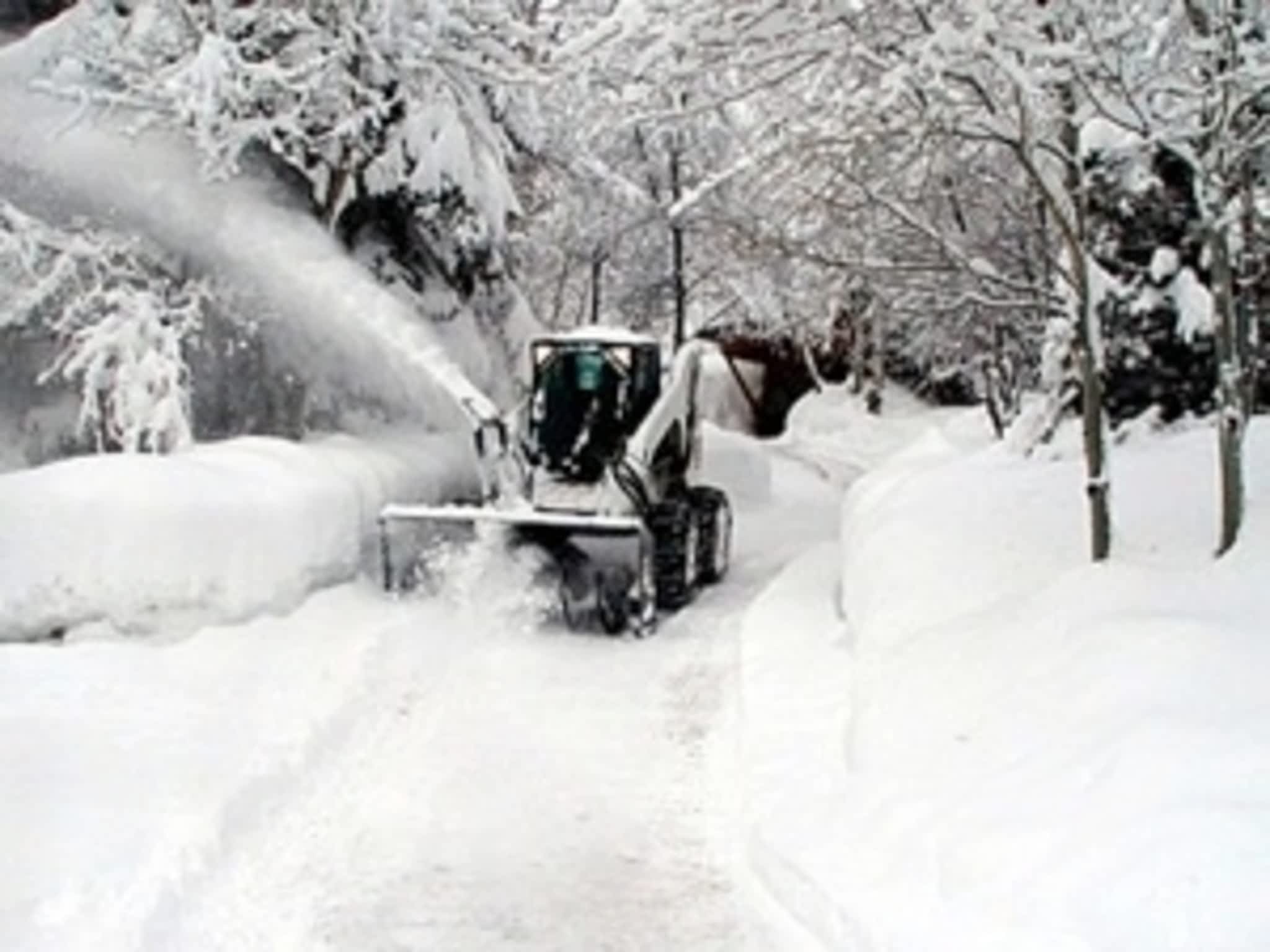 photo MacDonald Andrew Landscaping & Tree Service Ltd