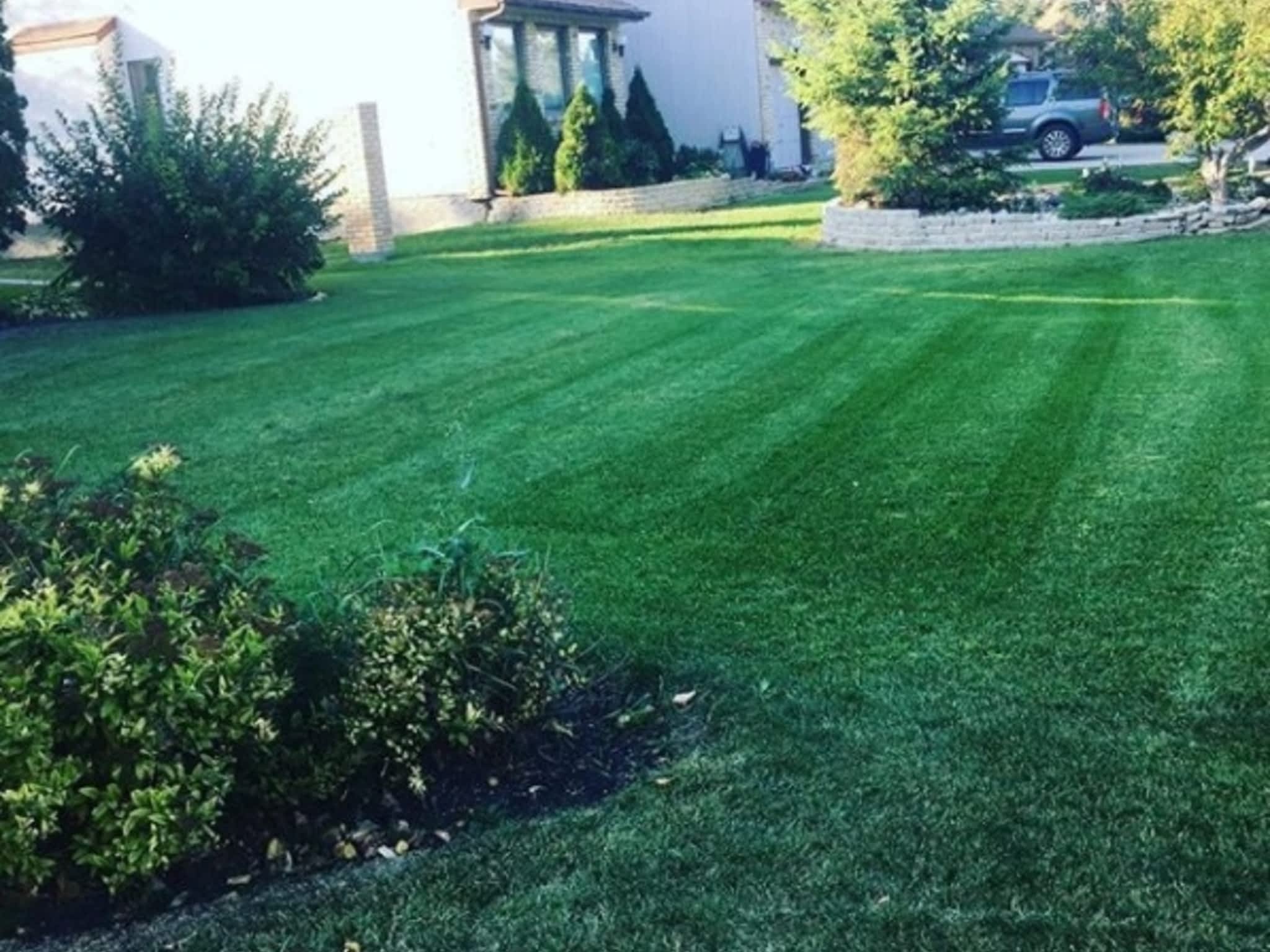 photo Versatile Lawn Solutions