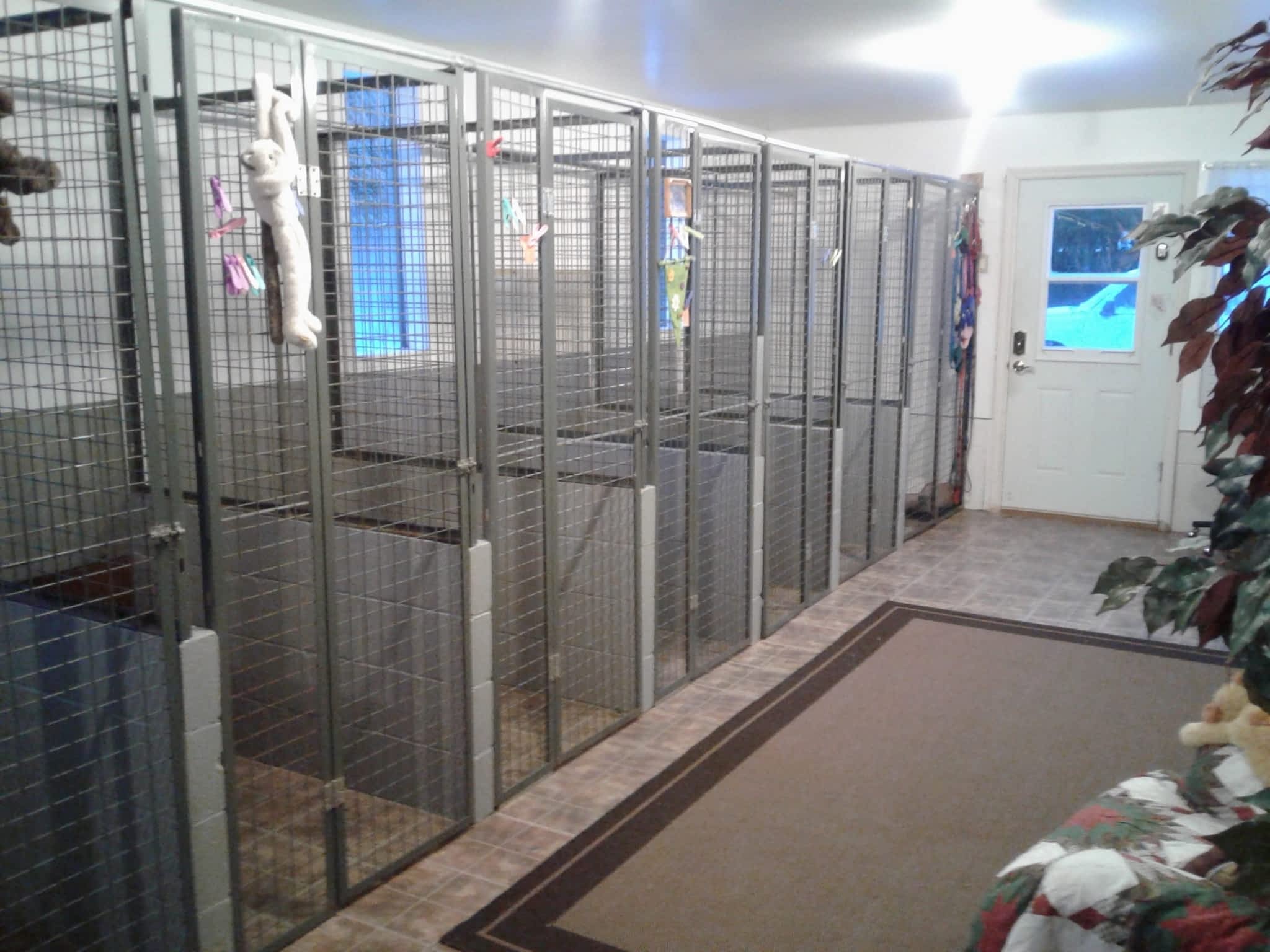 photo Goldcrest Kennels