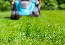 Fresh-cut finds: Where to shop for lawn mowers in Toronto