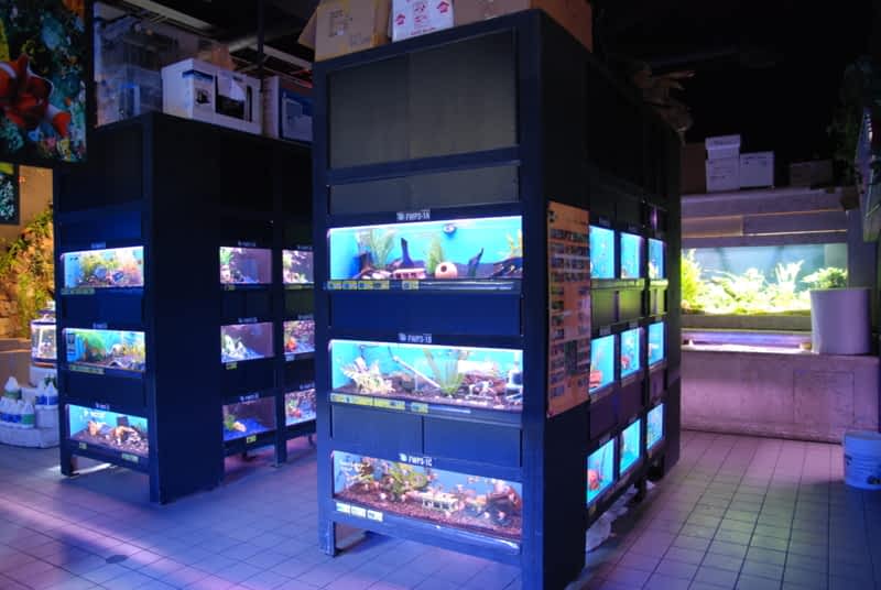 Big Al's Mississauga, ON 850 Dundas St E Canpages