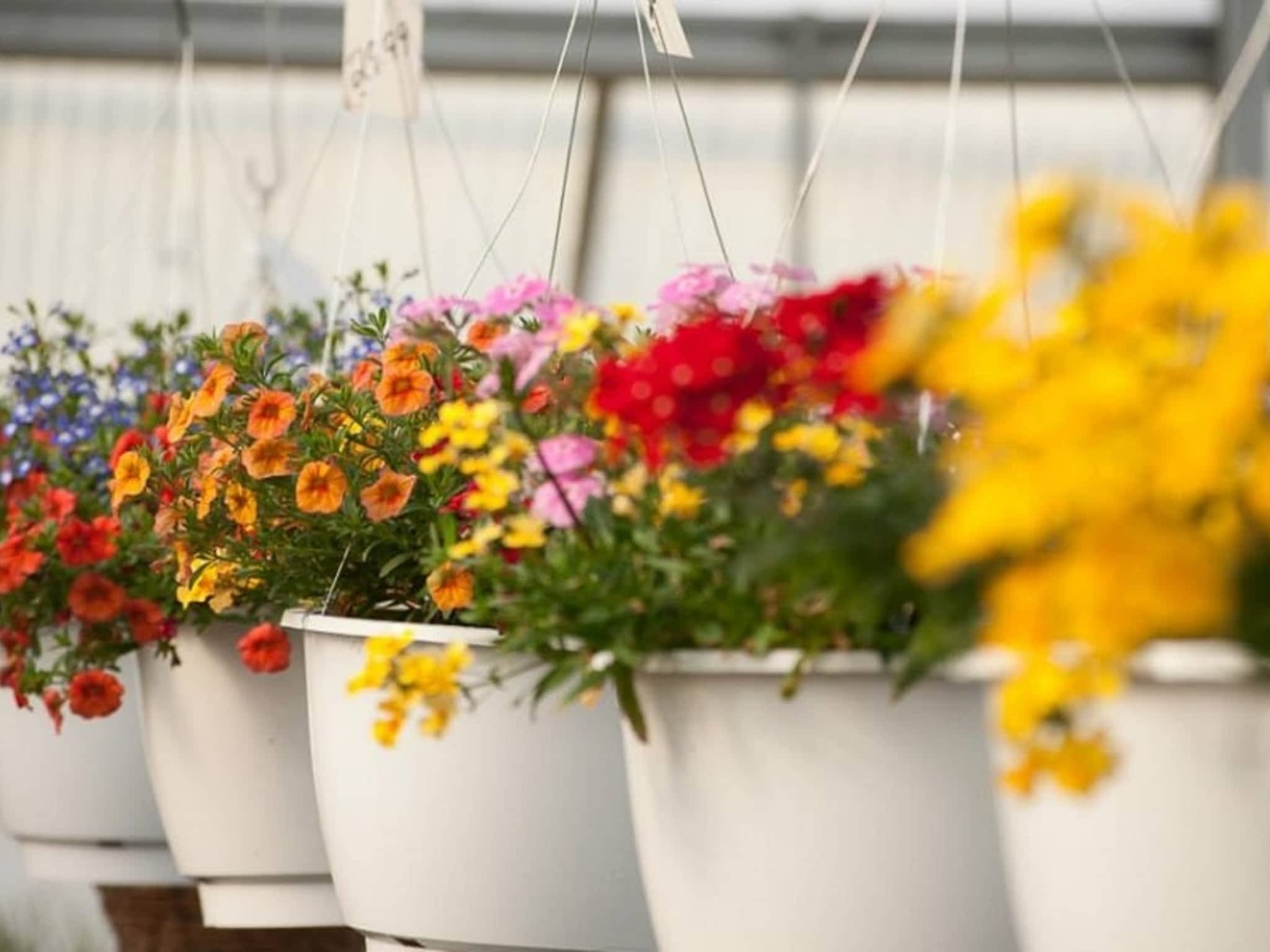 Schmidt Greenhouses Dryden, ON 16669 Hwy 17 W Canpages