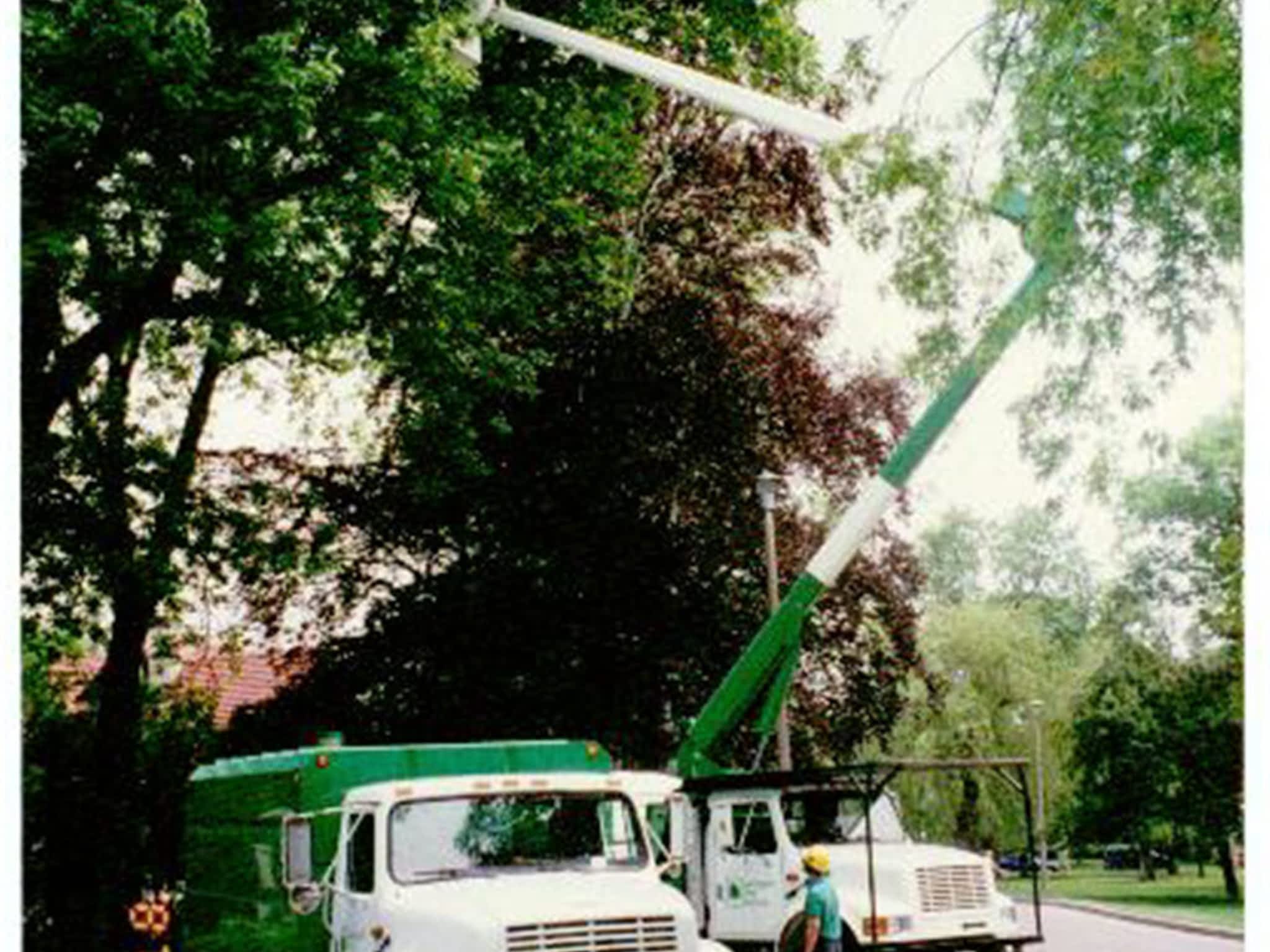 photo Landgraff Tree Service