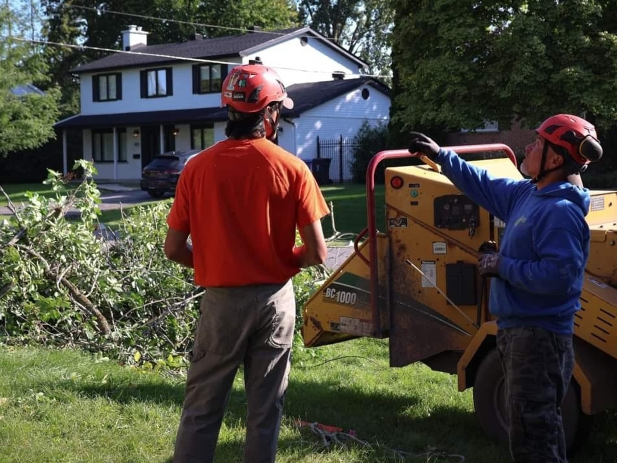 photo Tree Keepers Kahnawake