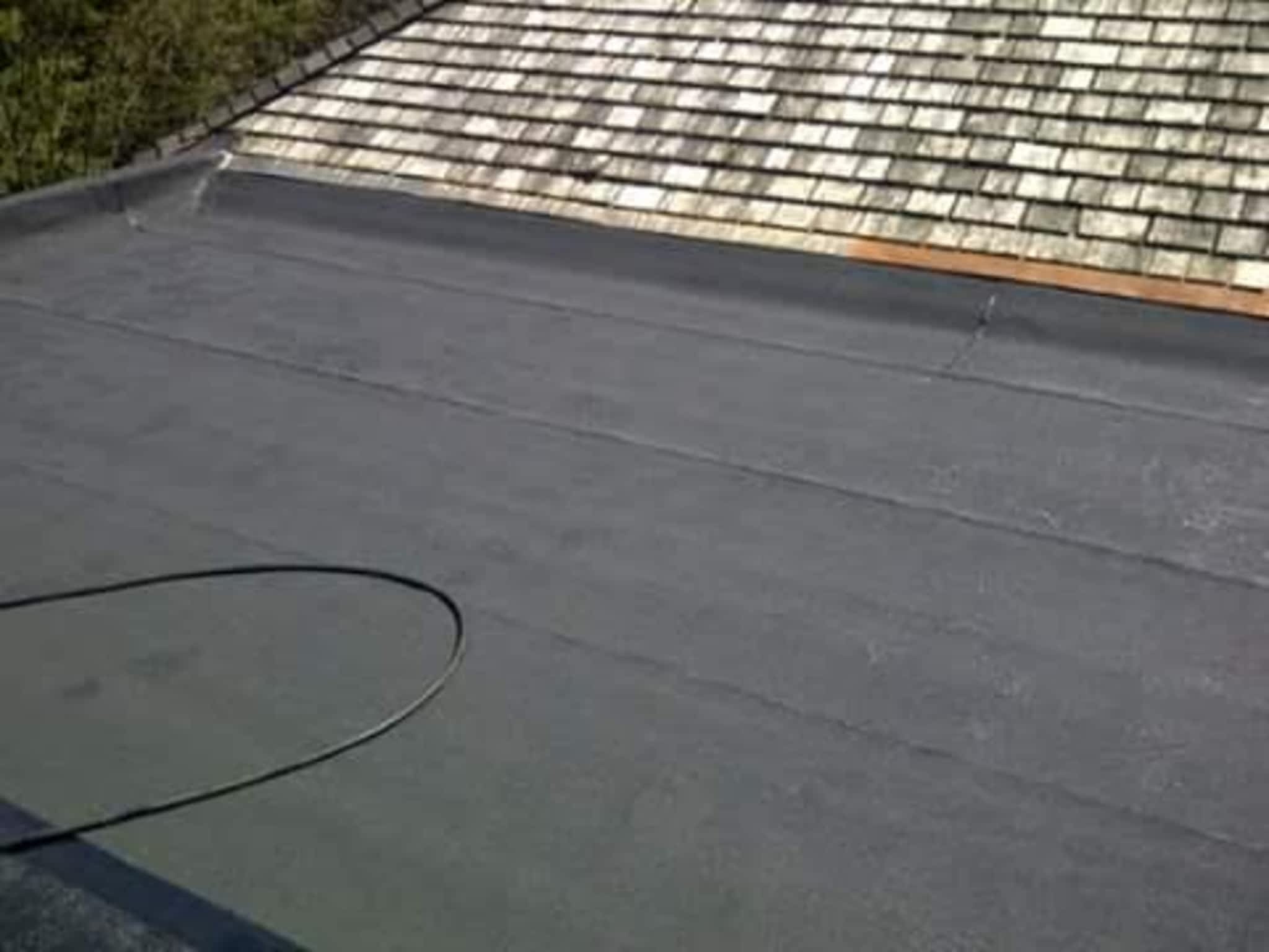 photo Roofed it Renos