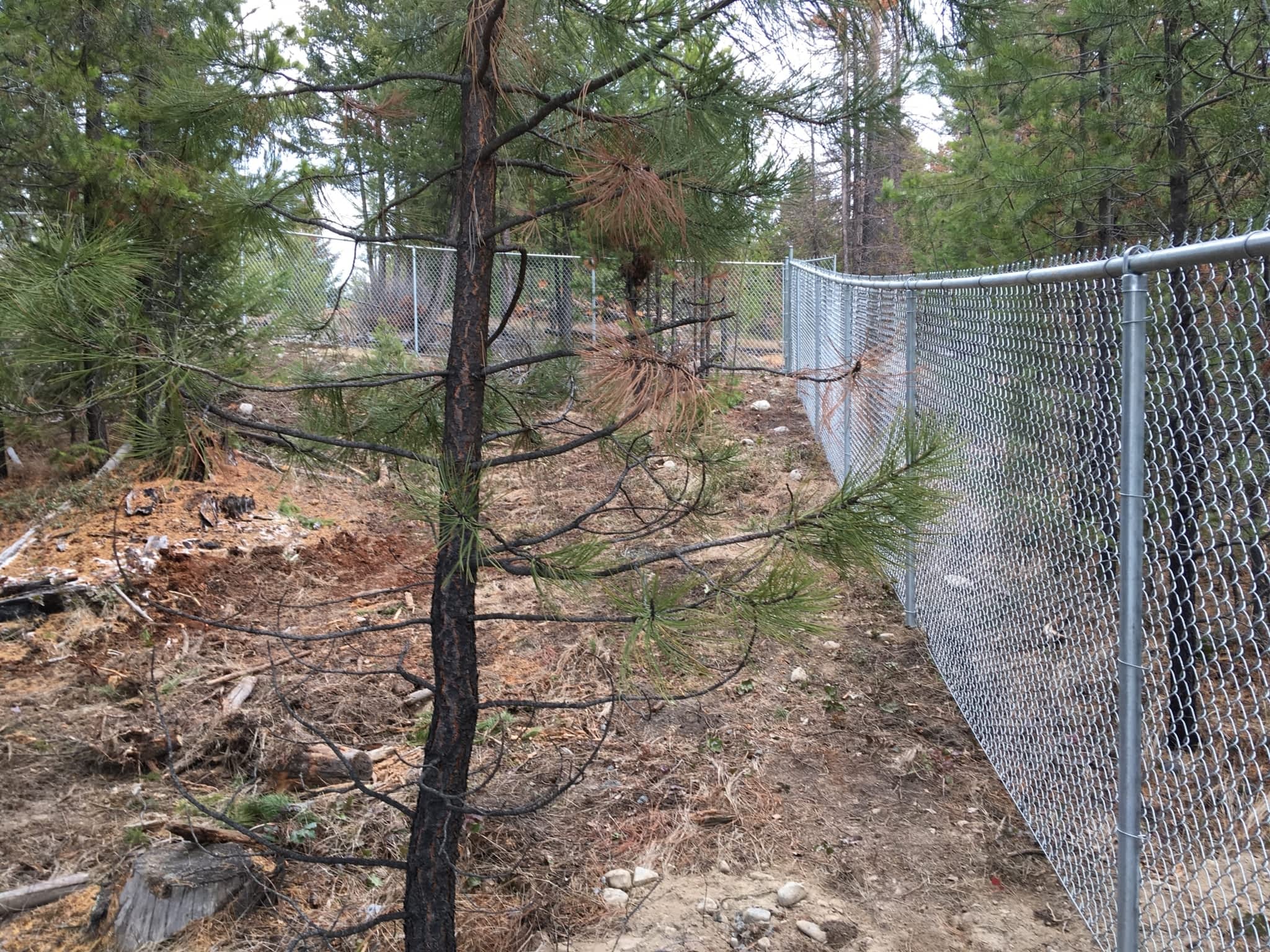 photo Precision Enterprises Inc