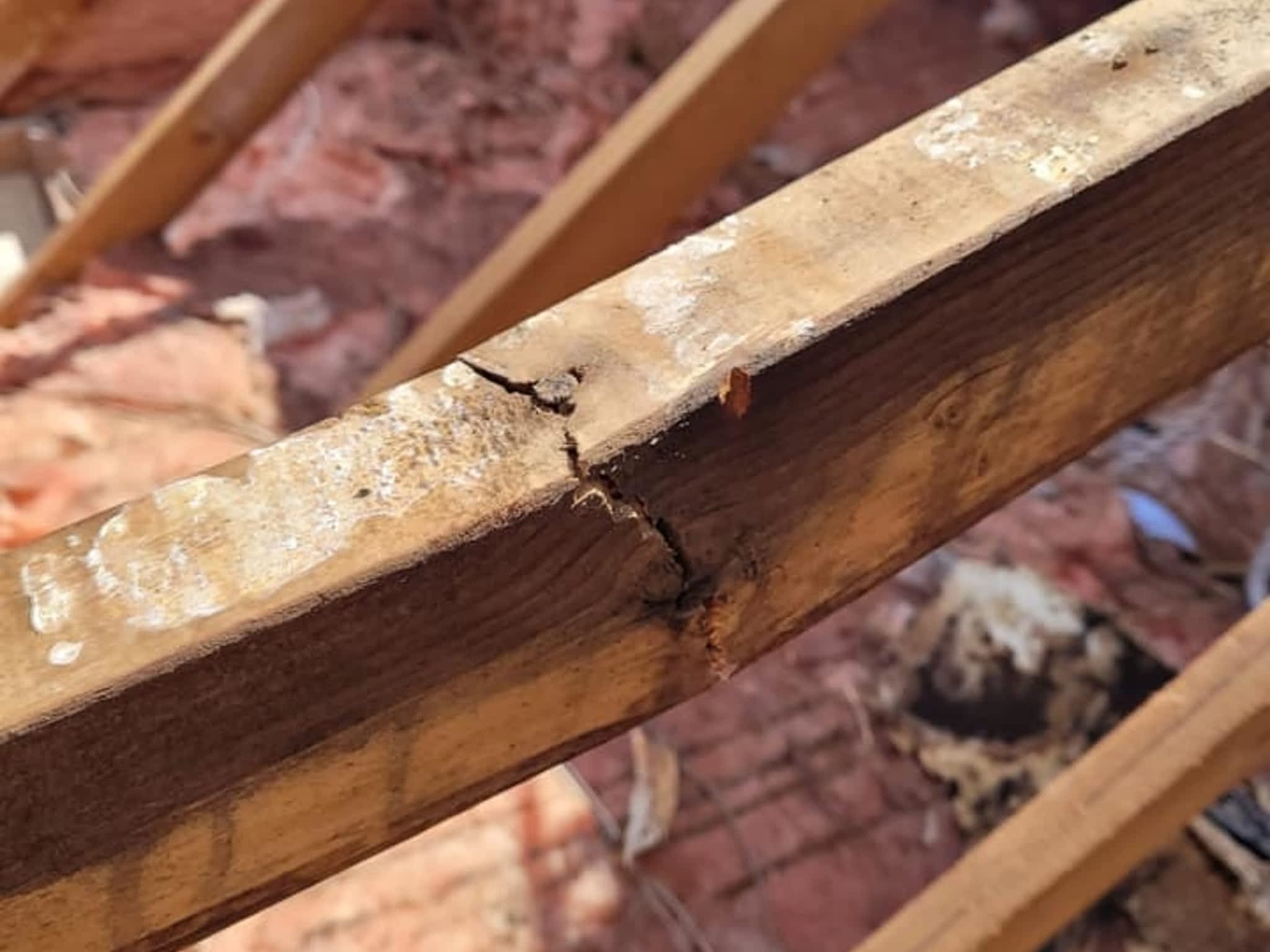 photo Spartan Roofing