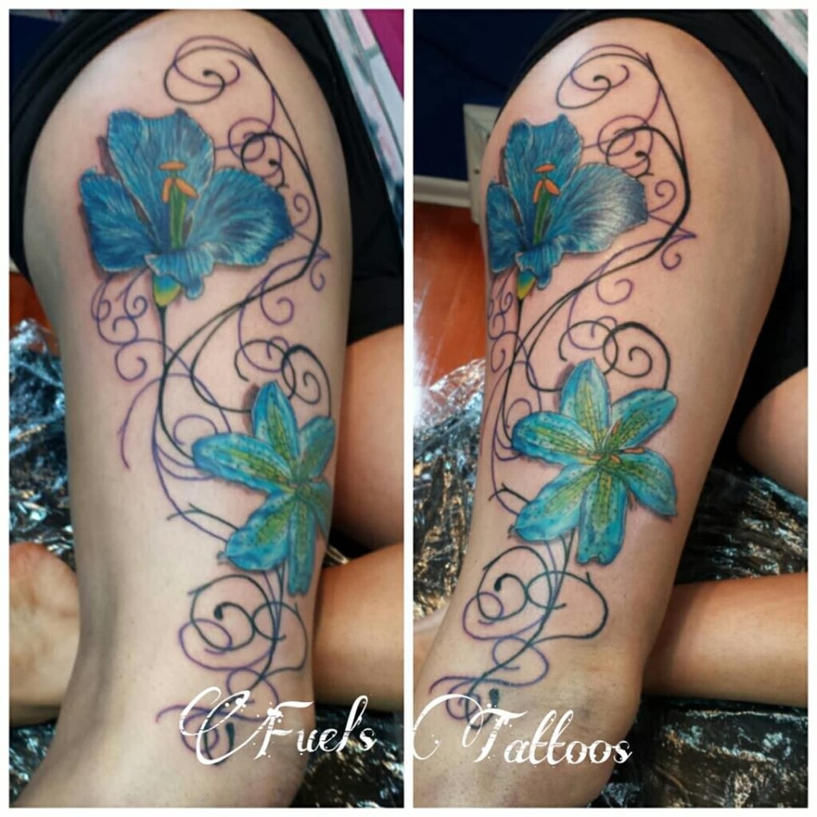 henna tattoo stores near me amazon com henna city all natural henna tattoo stores near me amazon com henna city all natural