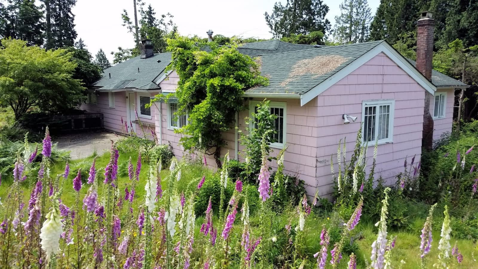 Ekan Home Inspection Sunshine Coast Opening Hours 1221 North Rd Gibsons Bc