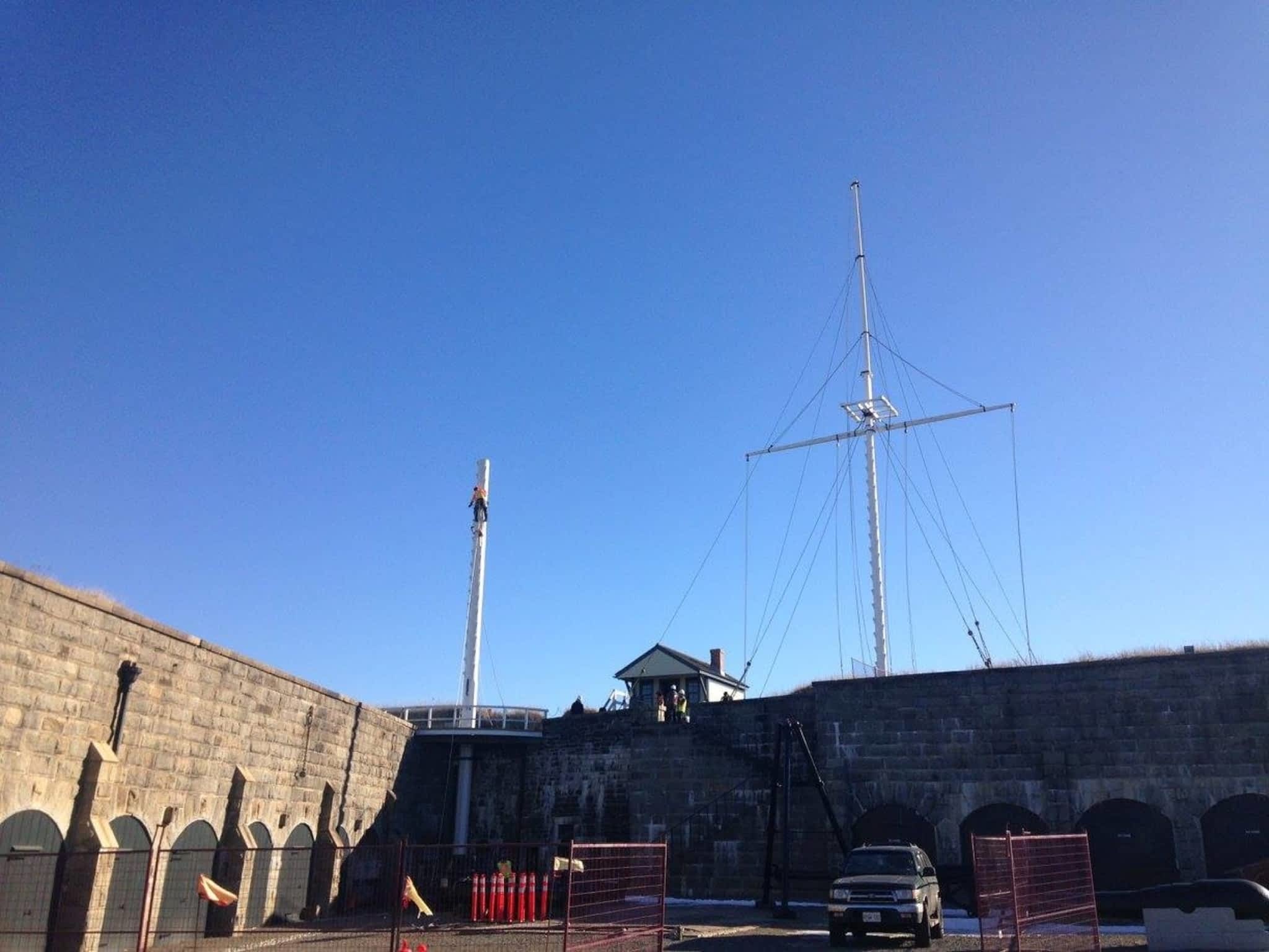 photo Solid Tree Care