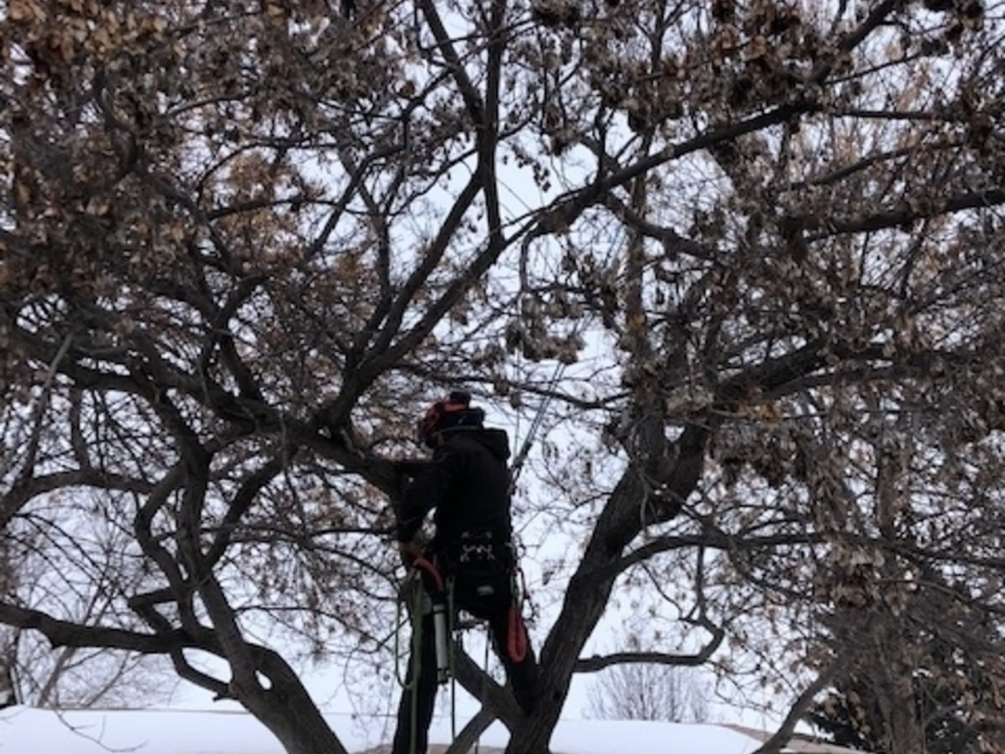 photo Limber Environmental Ltd