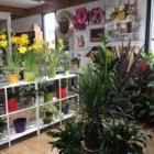 Fleuriste Serlivard - Garden Centres