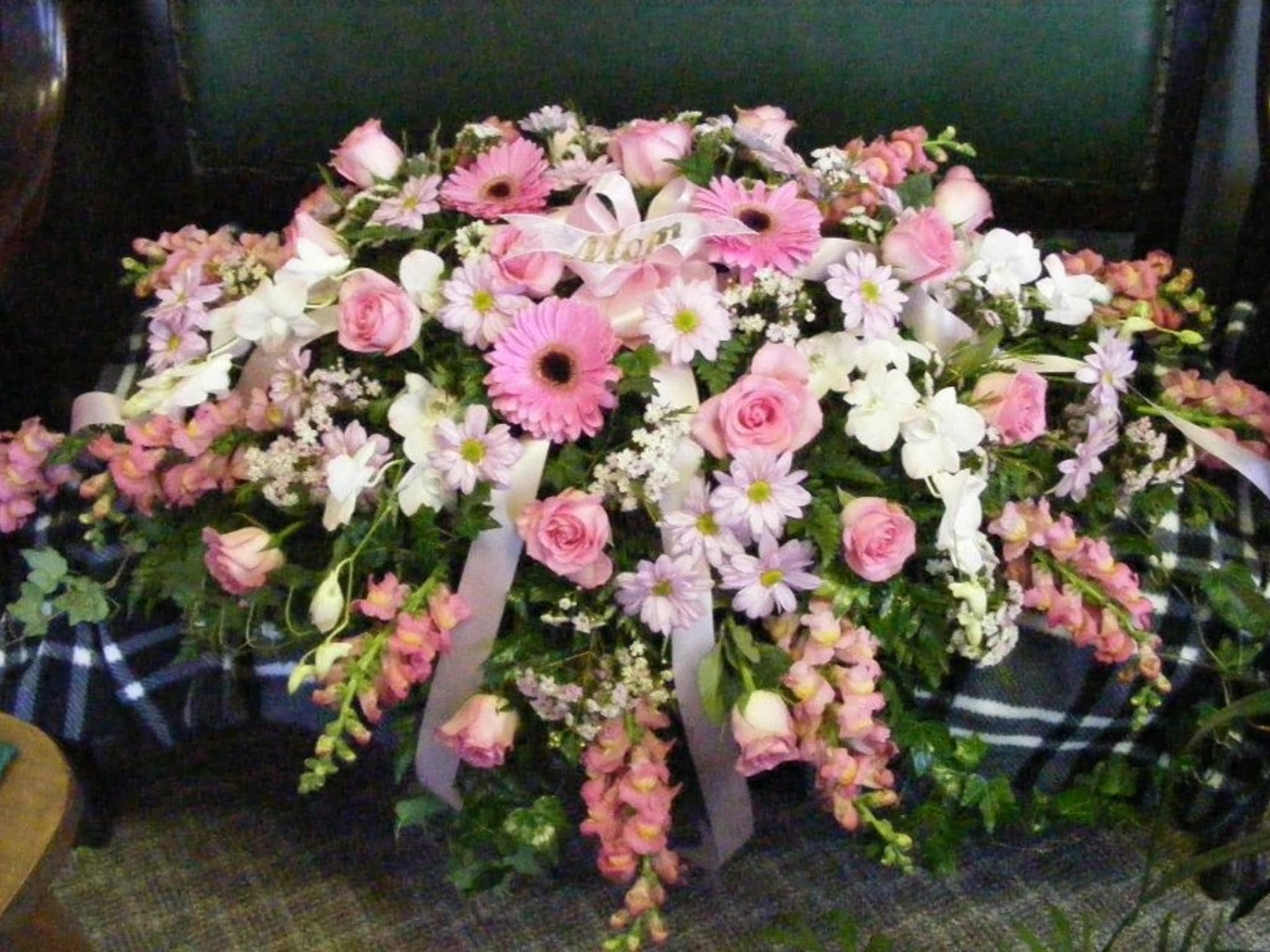 photo Blooms Flowers