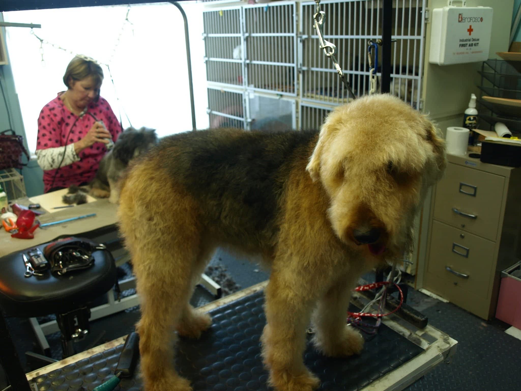 photo Soft Touch Dog Grooming