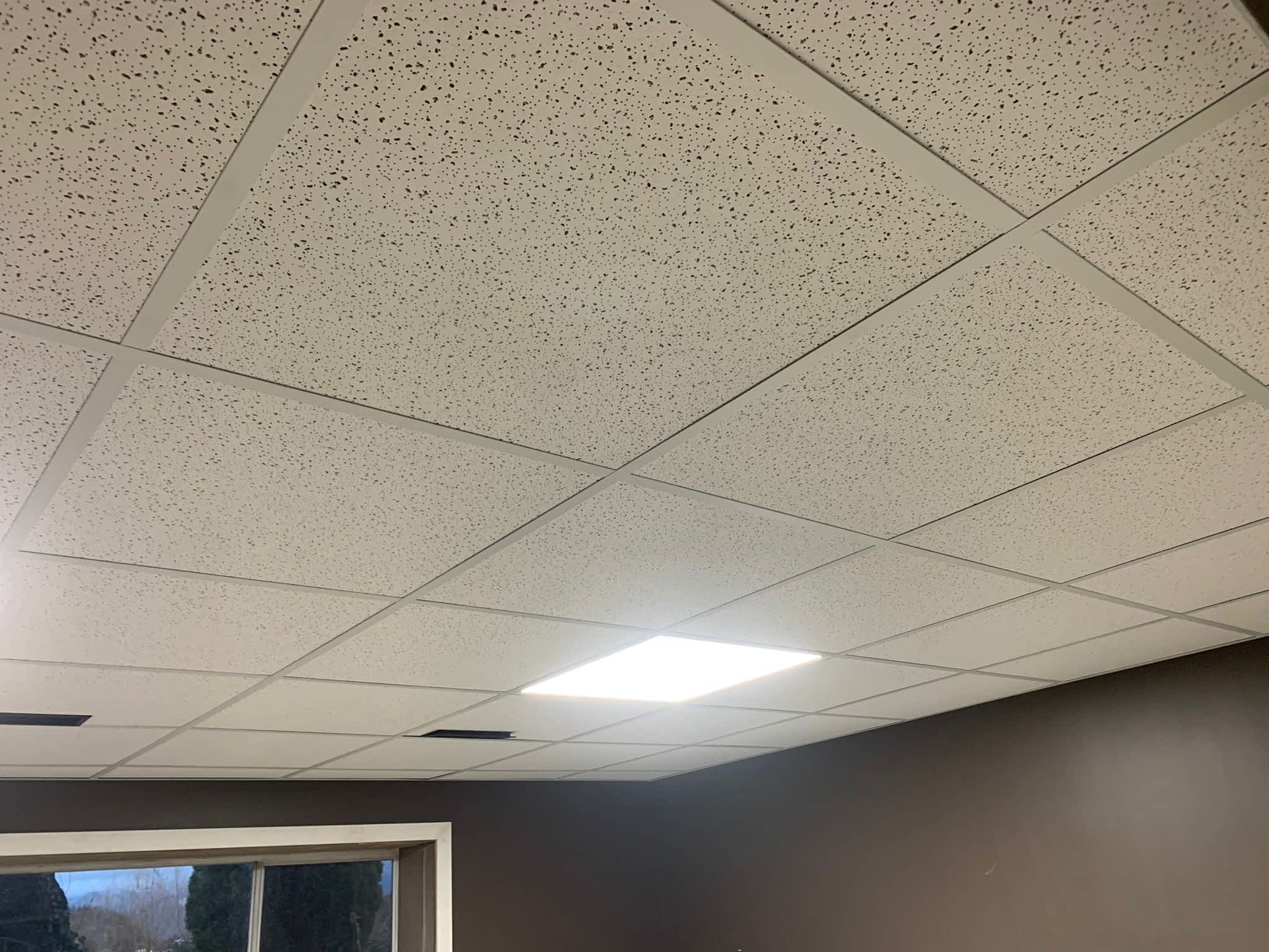 photo Nexus Drywall Ltd