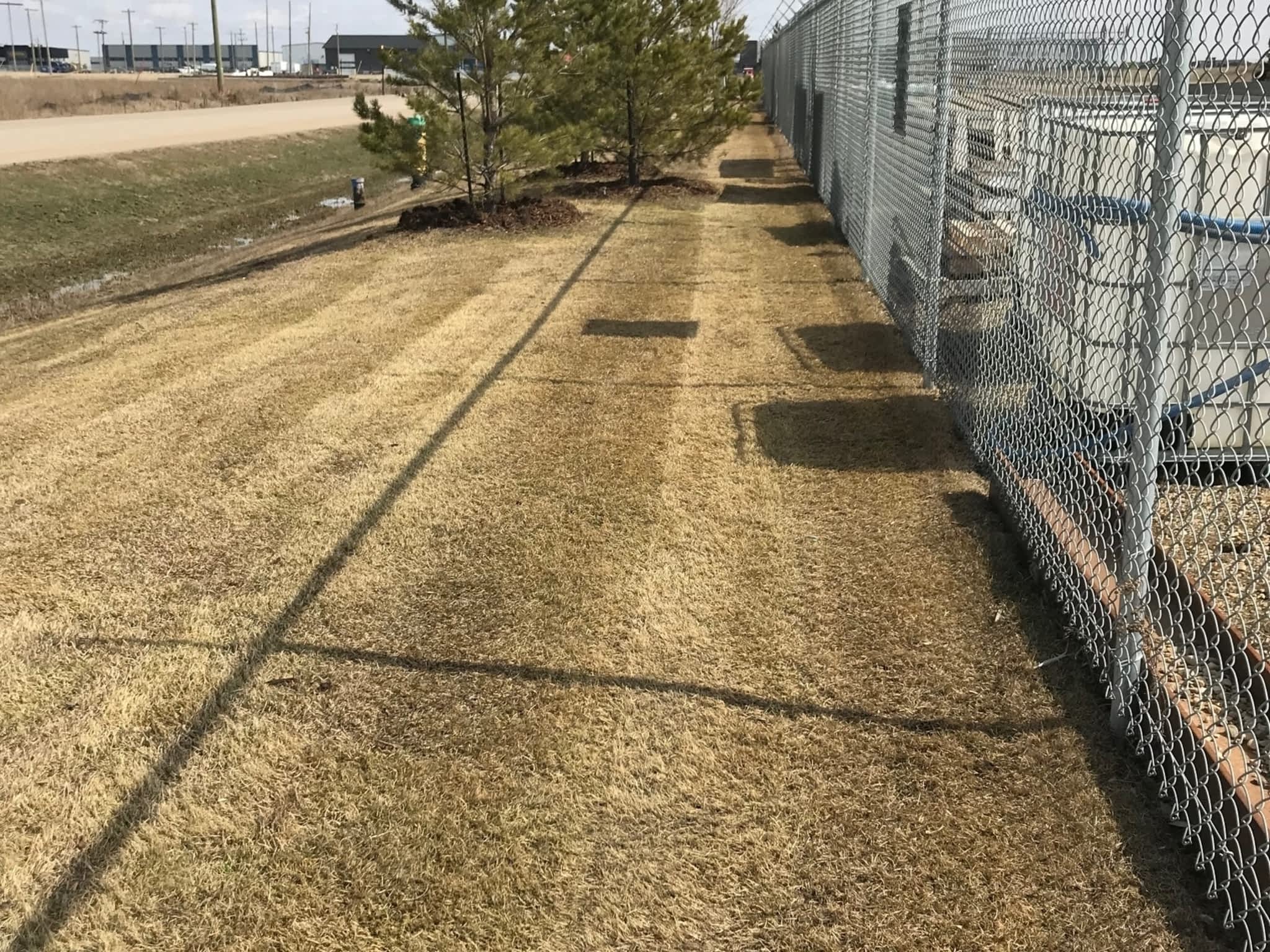 photo Limber Environmental Ltd