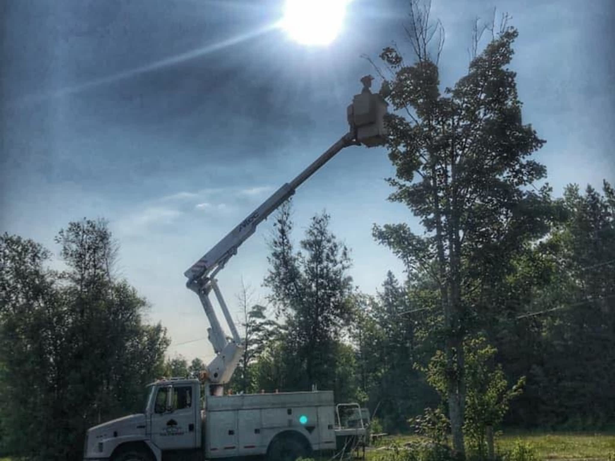 photo O'Blenes Trees & Services