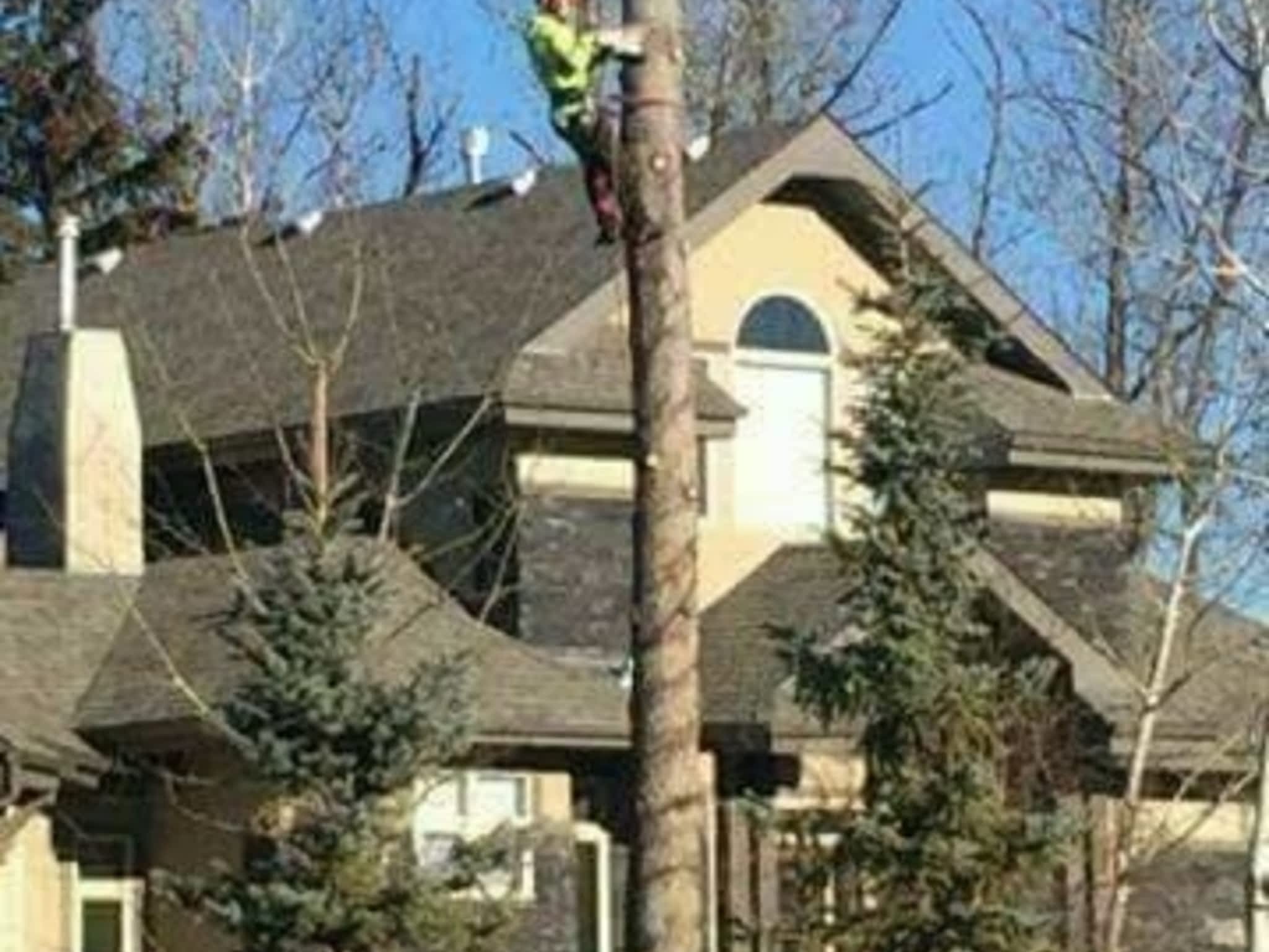 photo Tree Solutions