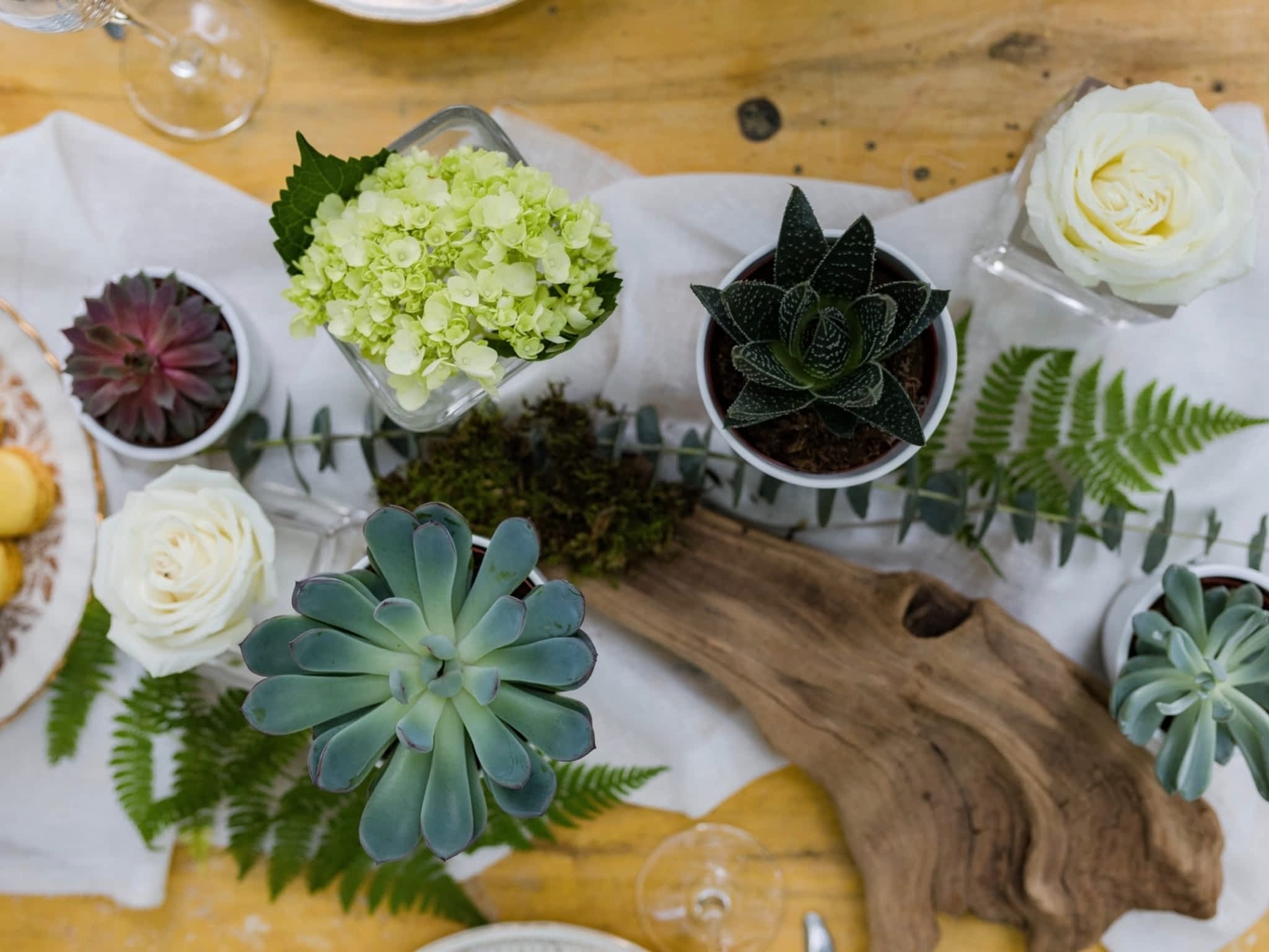 Fleuriste Ambiance Florale SaintMicheldeBellechasse, QC 26 Rte