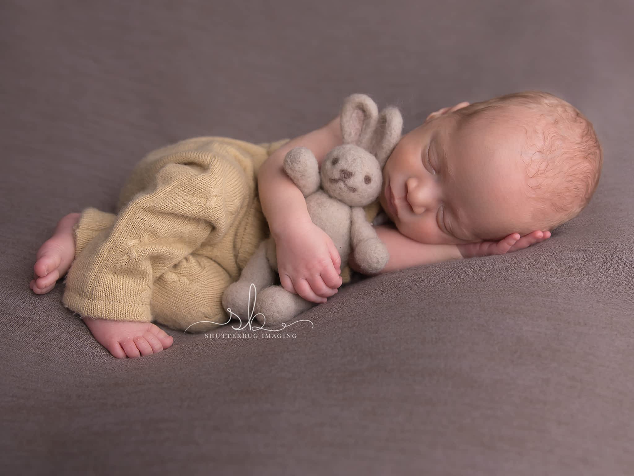 photo Shutterbug Imaging