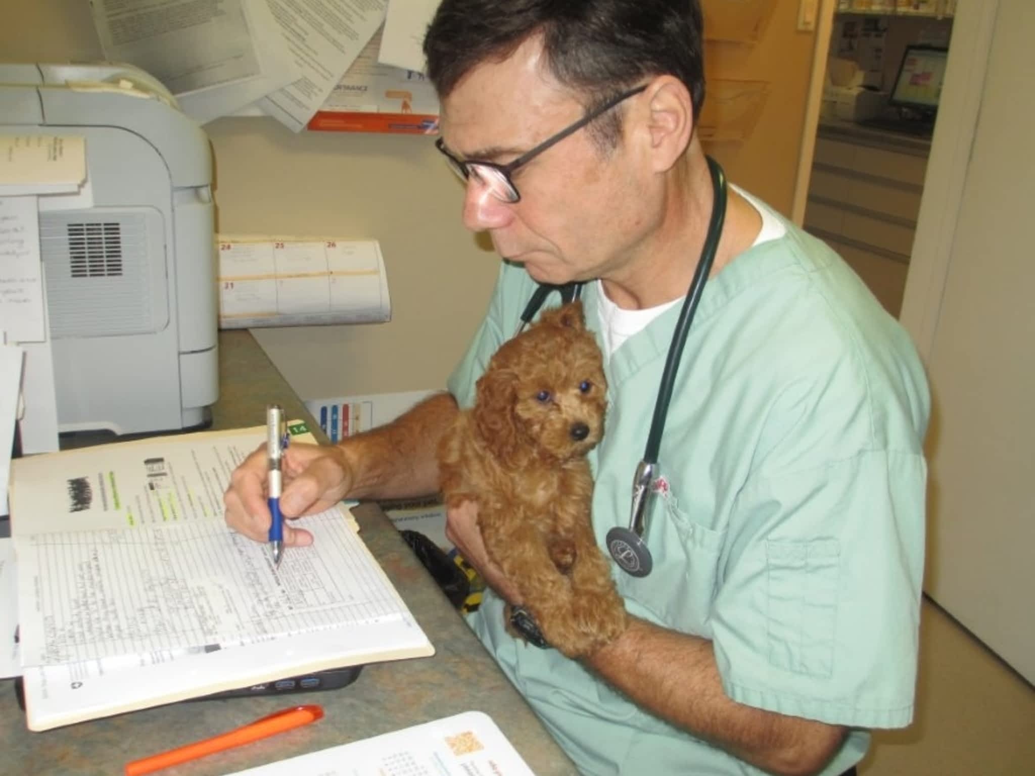 Anderson Animal Hospital Winnipeg, MB 60 Marion St Canpages