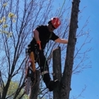 Westwood Lumber Company - Tree Service