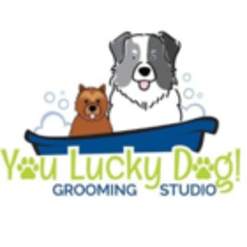 You lucky deals dog mobile grooming