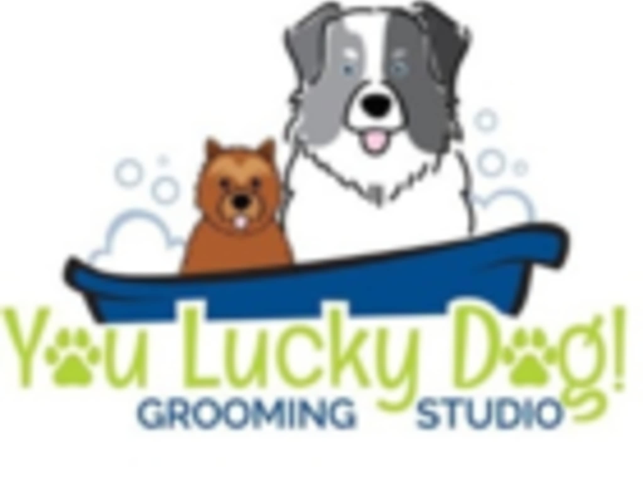 photo You Lucky Dog Grooming Studio