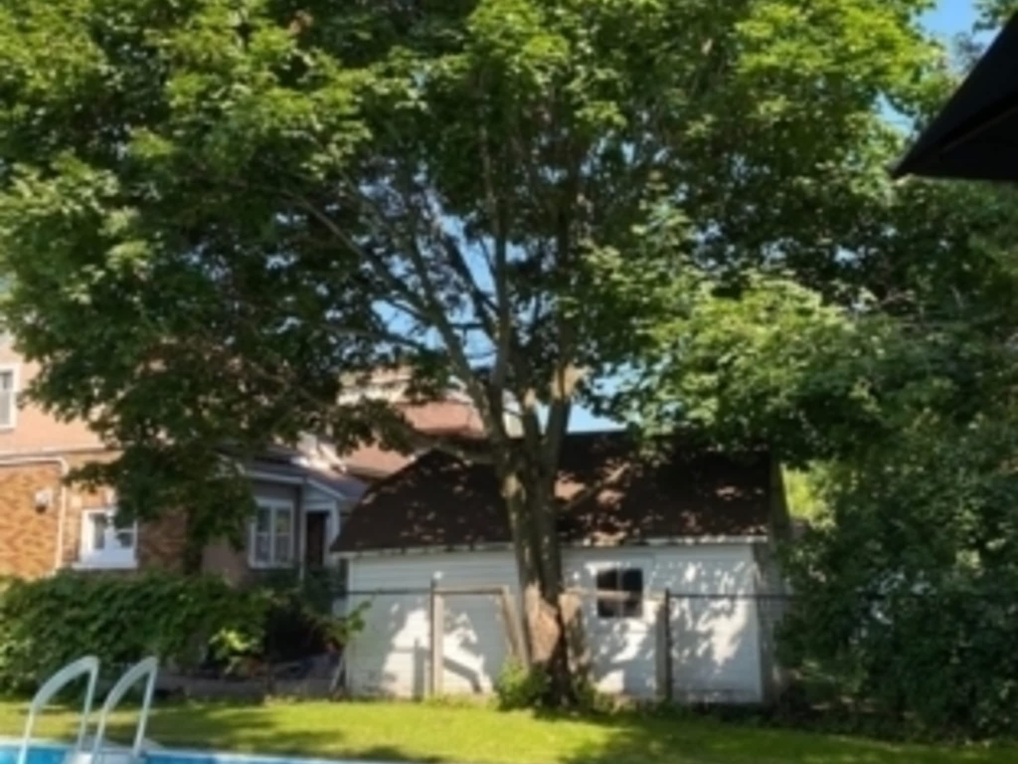 photo Dignard's Tree Service