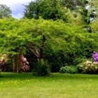 Harmony Pruning Service - Service d'entretien d'arbres