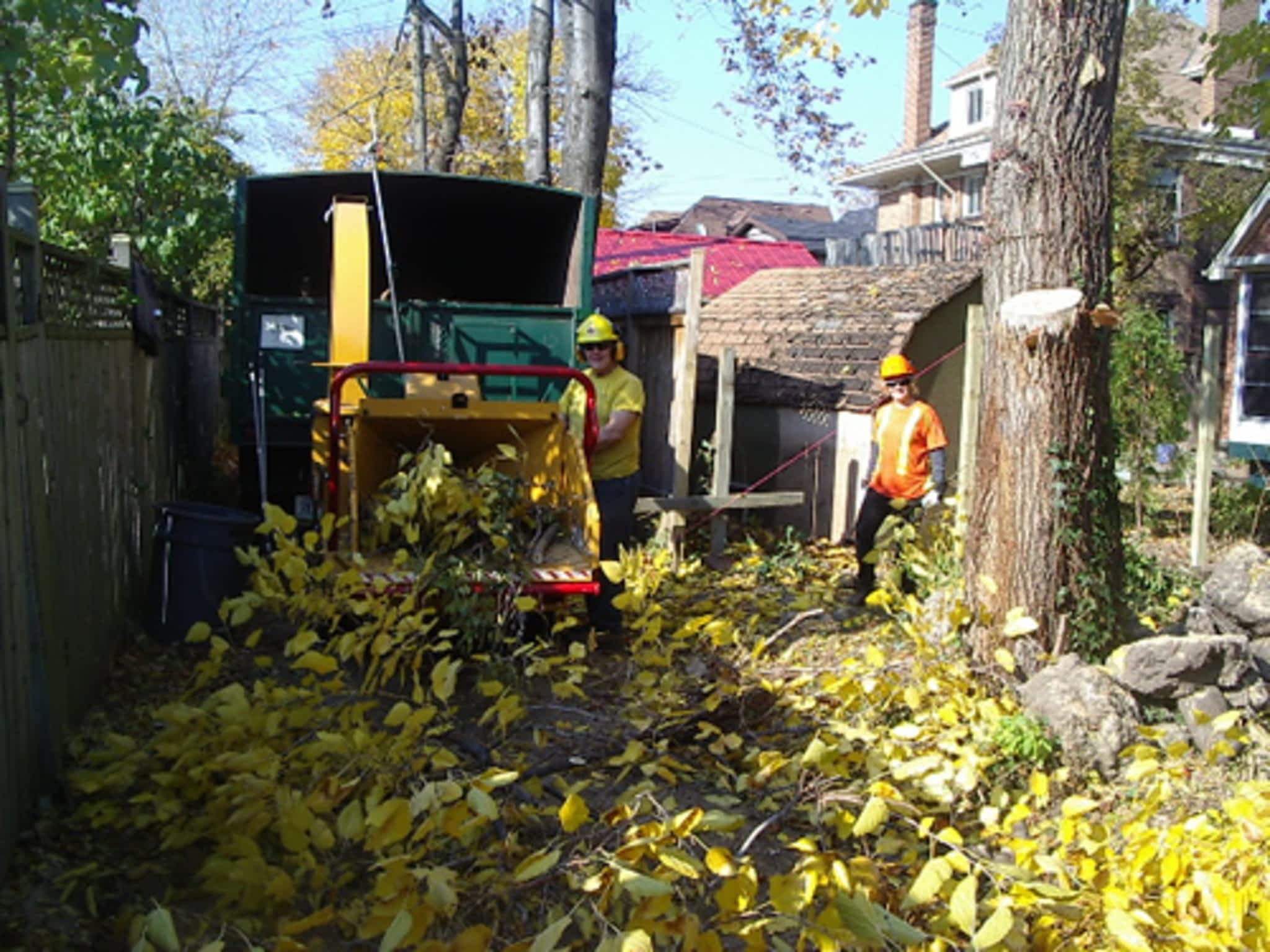 photo Total Tree Care