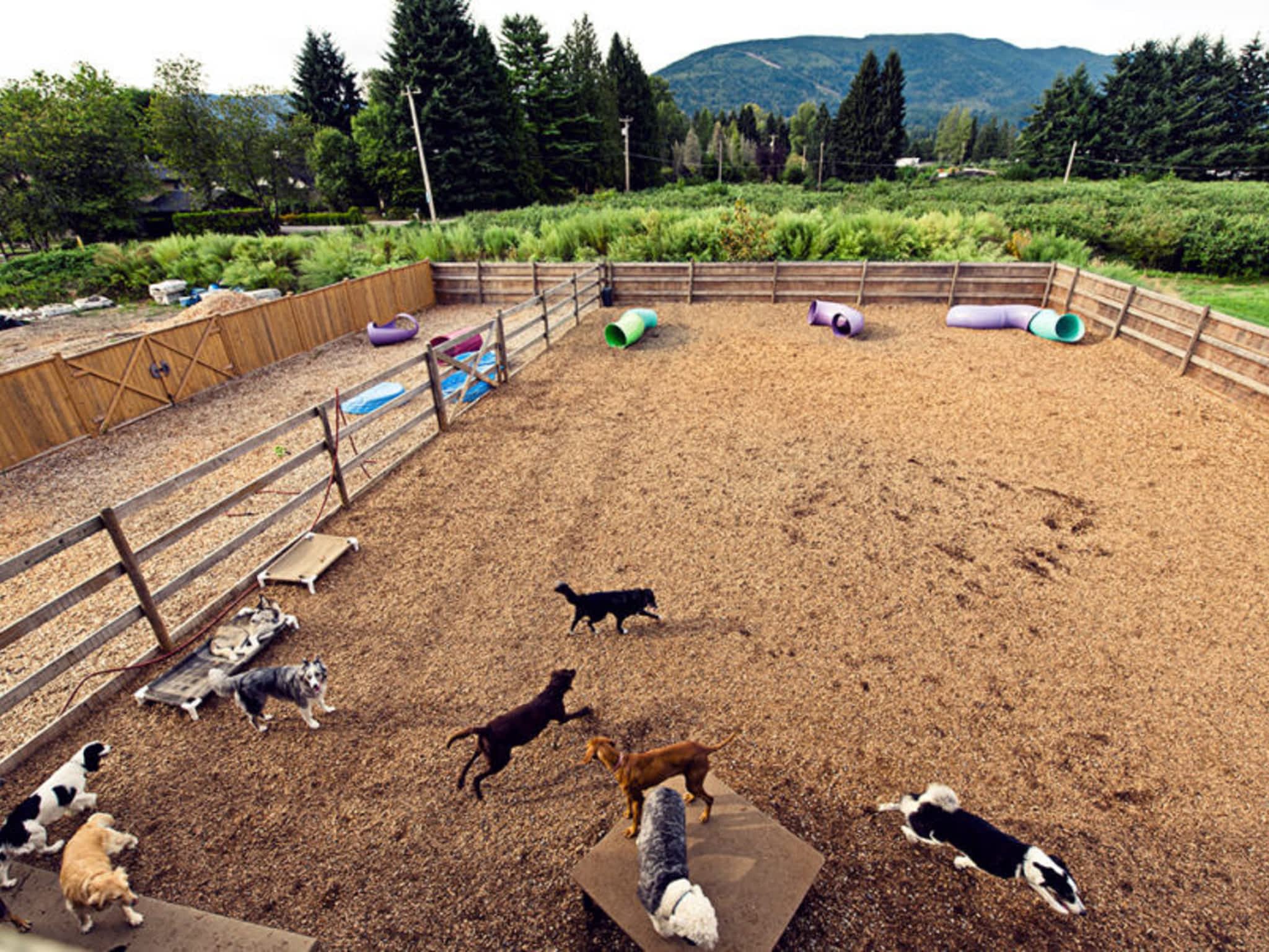 photo The Dog Patch Daycare Hotel & Spa