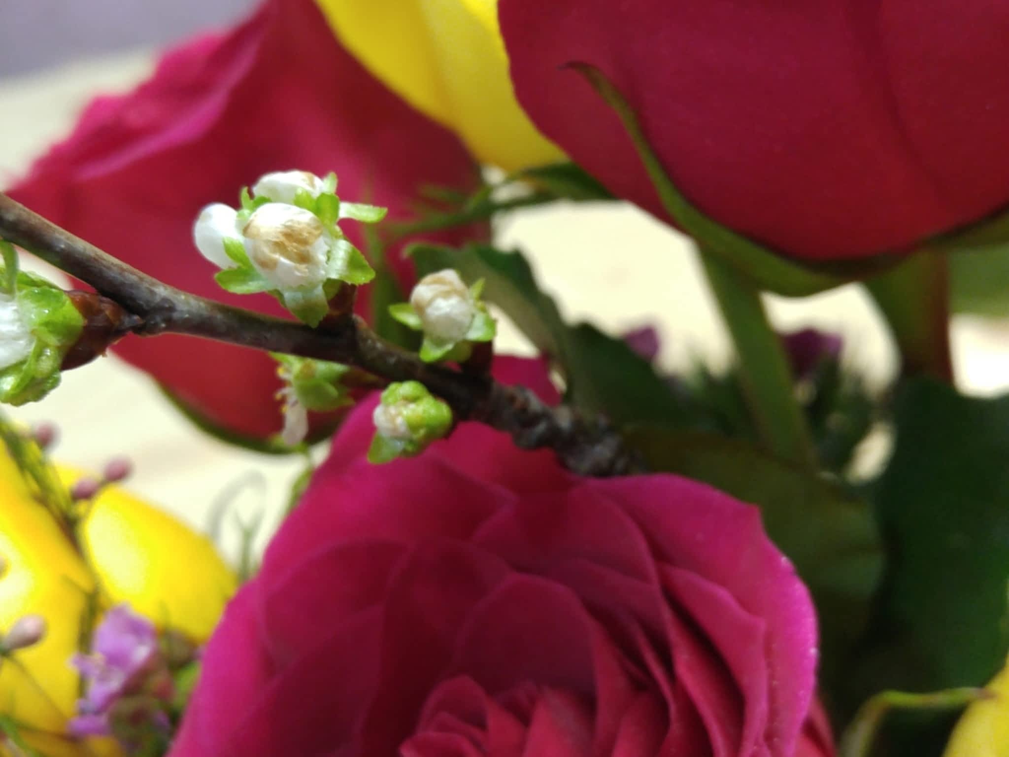 photo Serendipity Florals