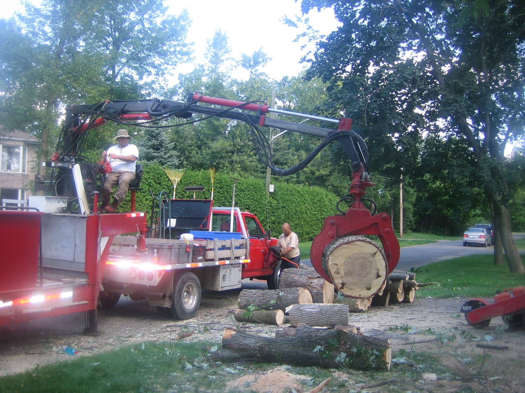 photo Service D'Arbres Marco