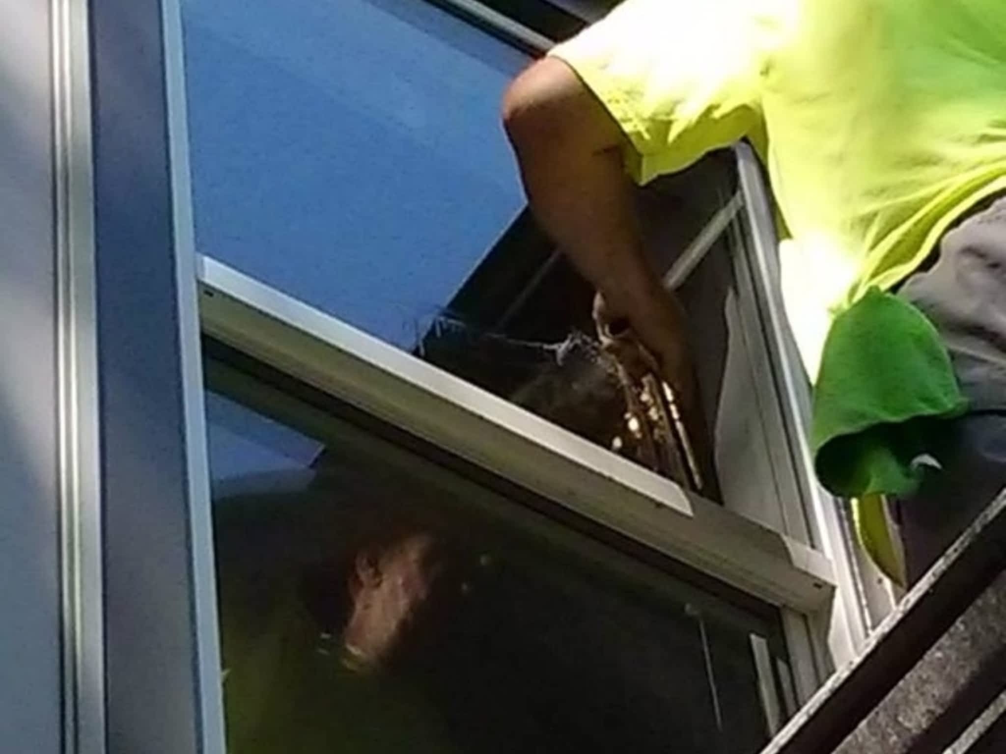 photo Schooner Window Cleaning