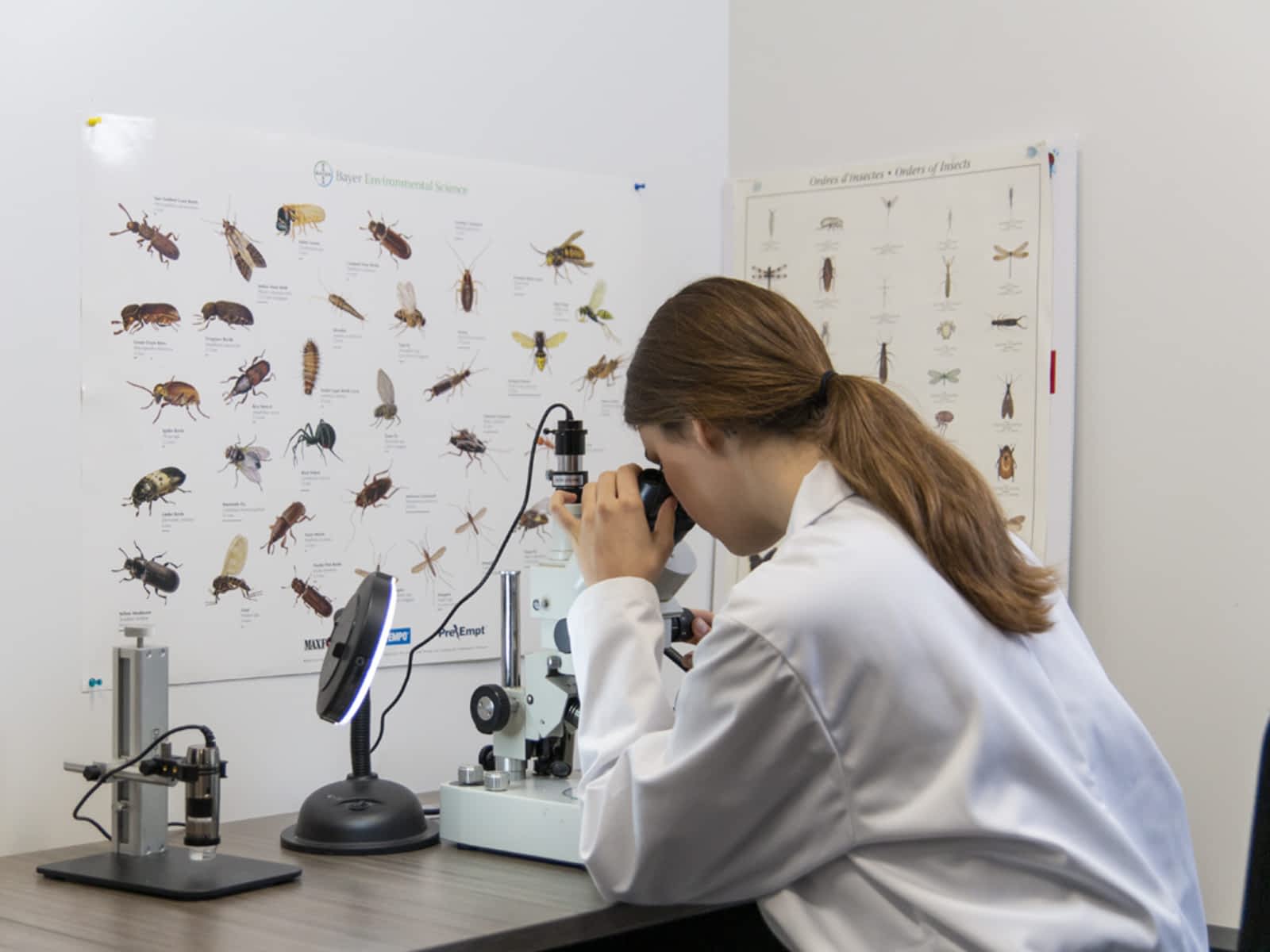 Abell Pest Control Opening Hours 36b Centennial Rd Kitchener On