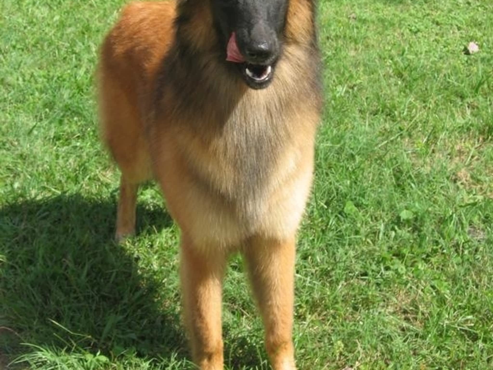 photo Monster Minder