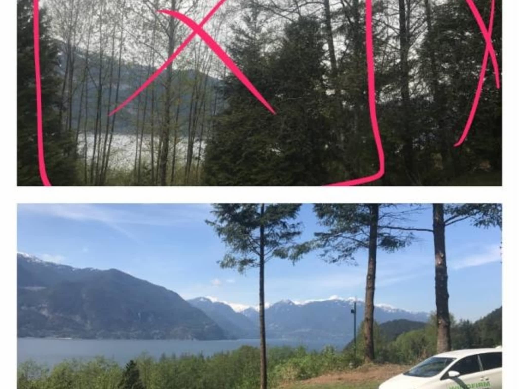 photo Windfirm Tree Services