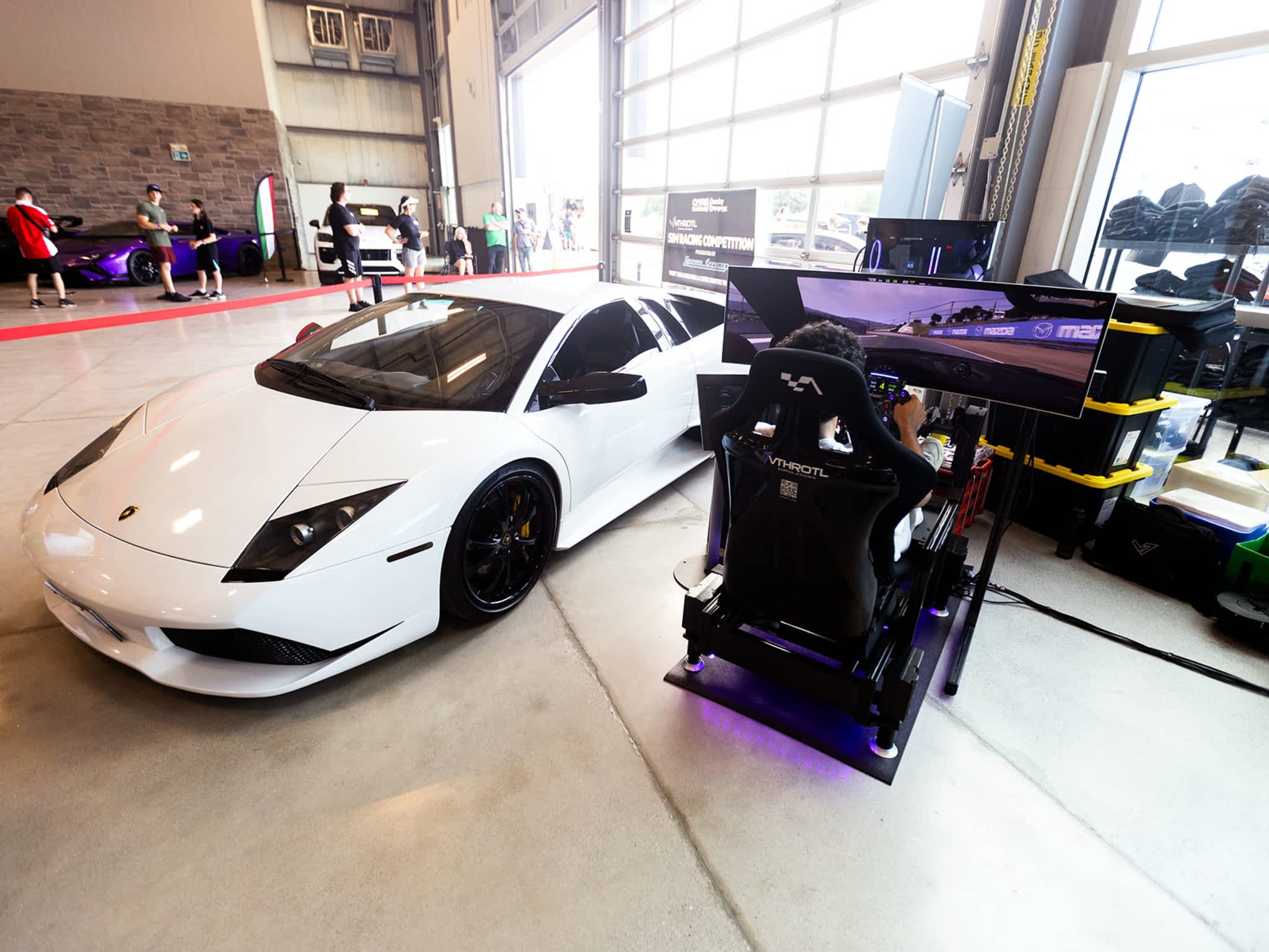 photo Vthrotl Simulators