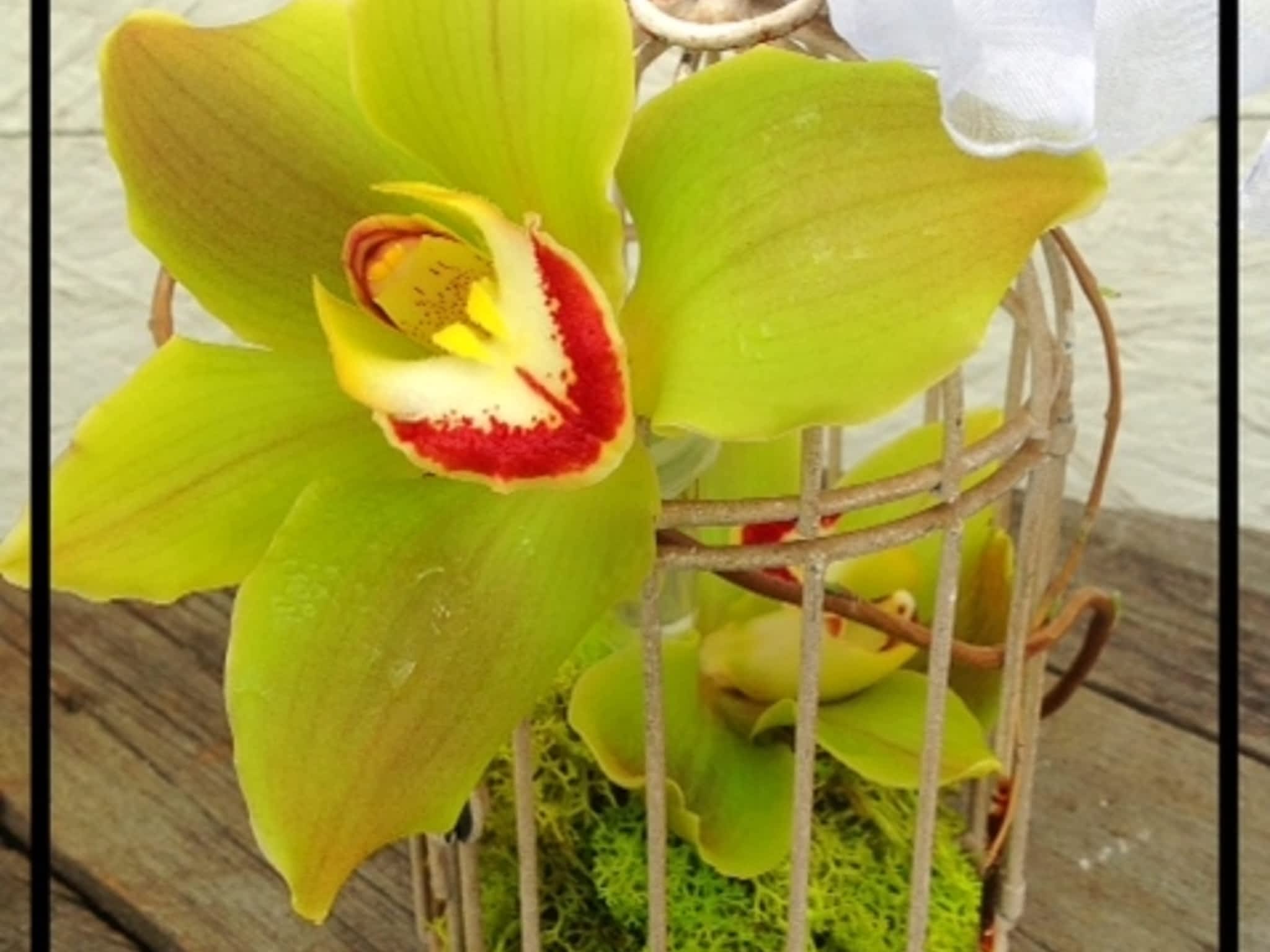 photo Fantasy Flowers