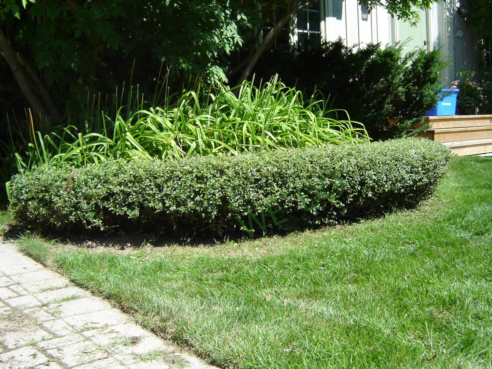 photo WE DO Property Service