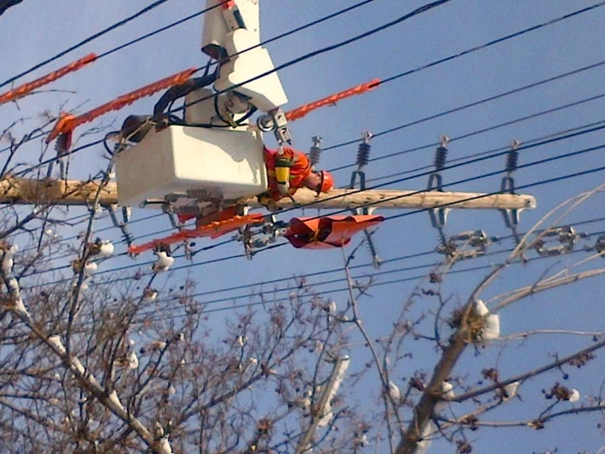 photo Performance Powerline Services