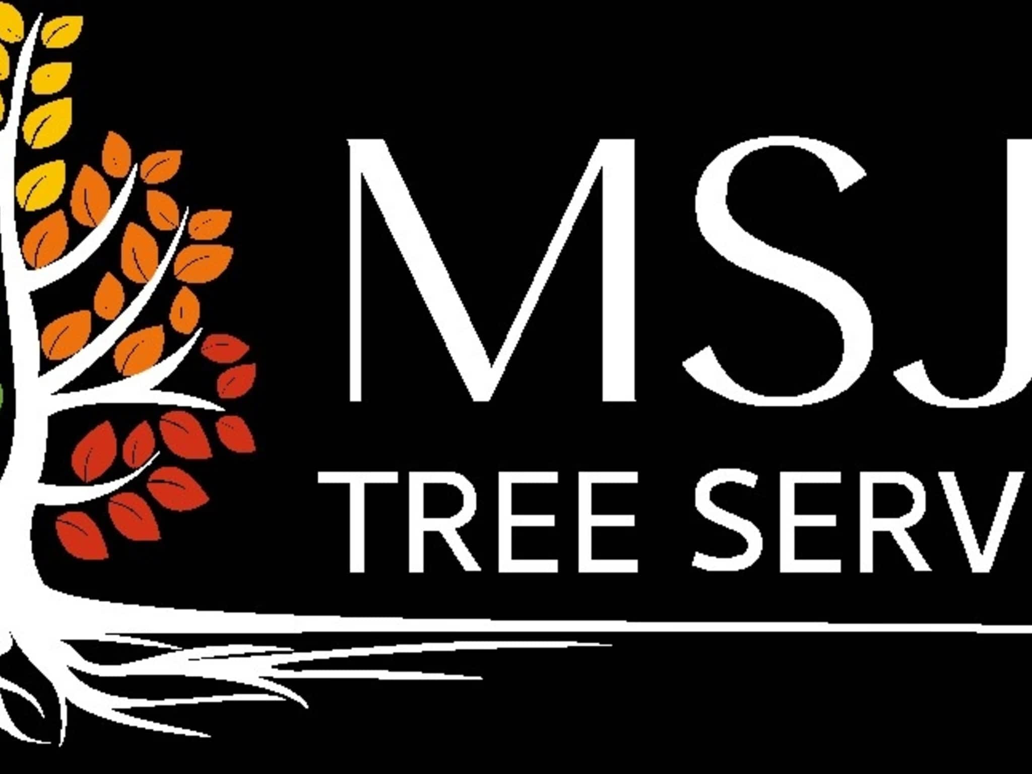 photo MSJD Tree Services