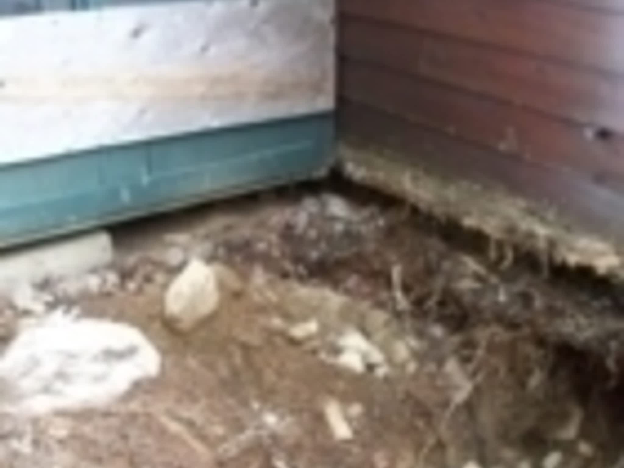 photo Bridging The Gap Construction