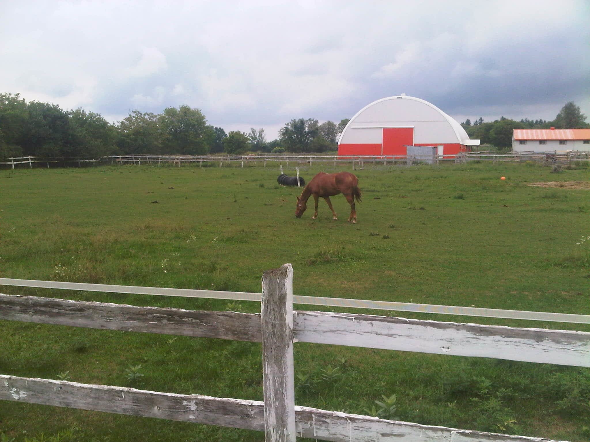 photo Colonial Equestrian Centre