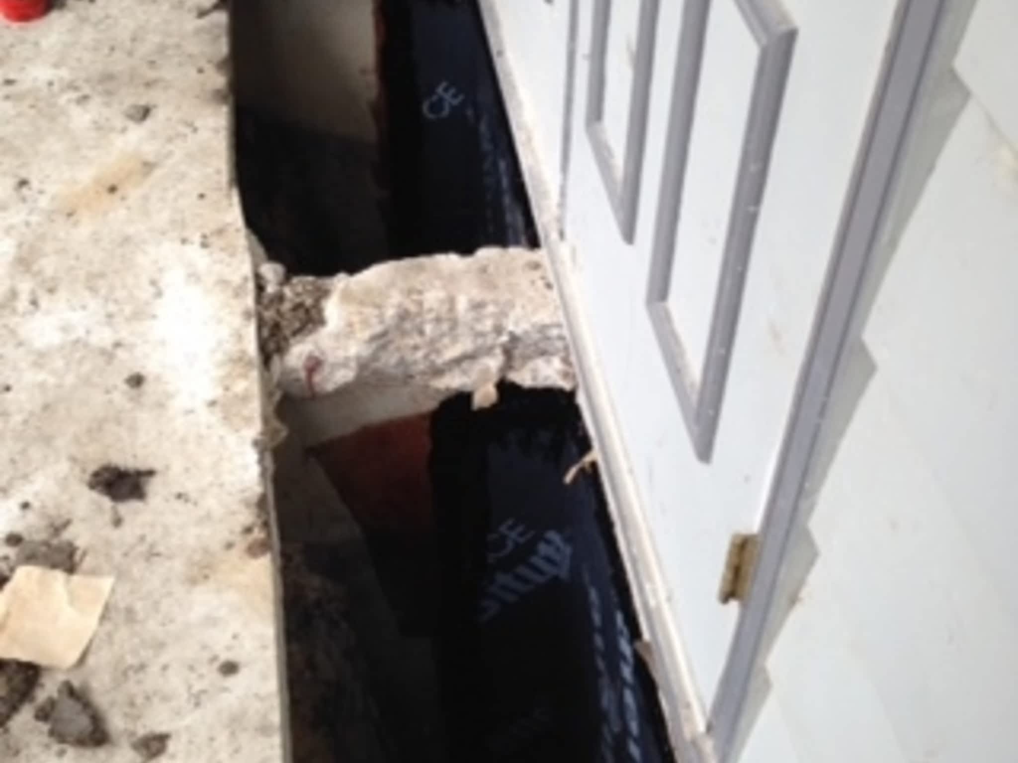 photo ABuess Contractors