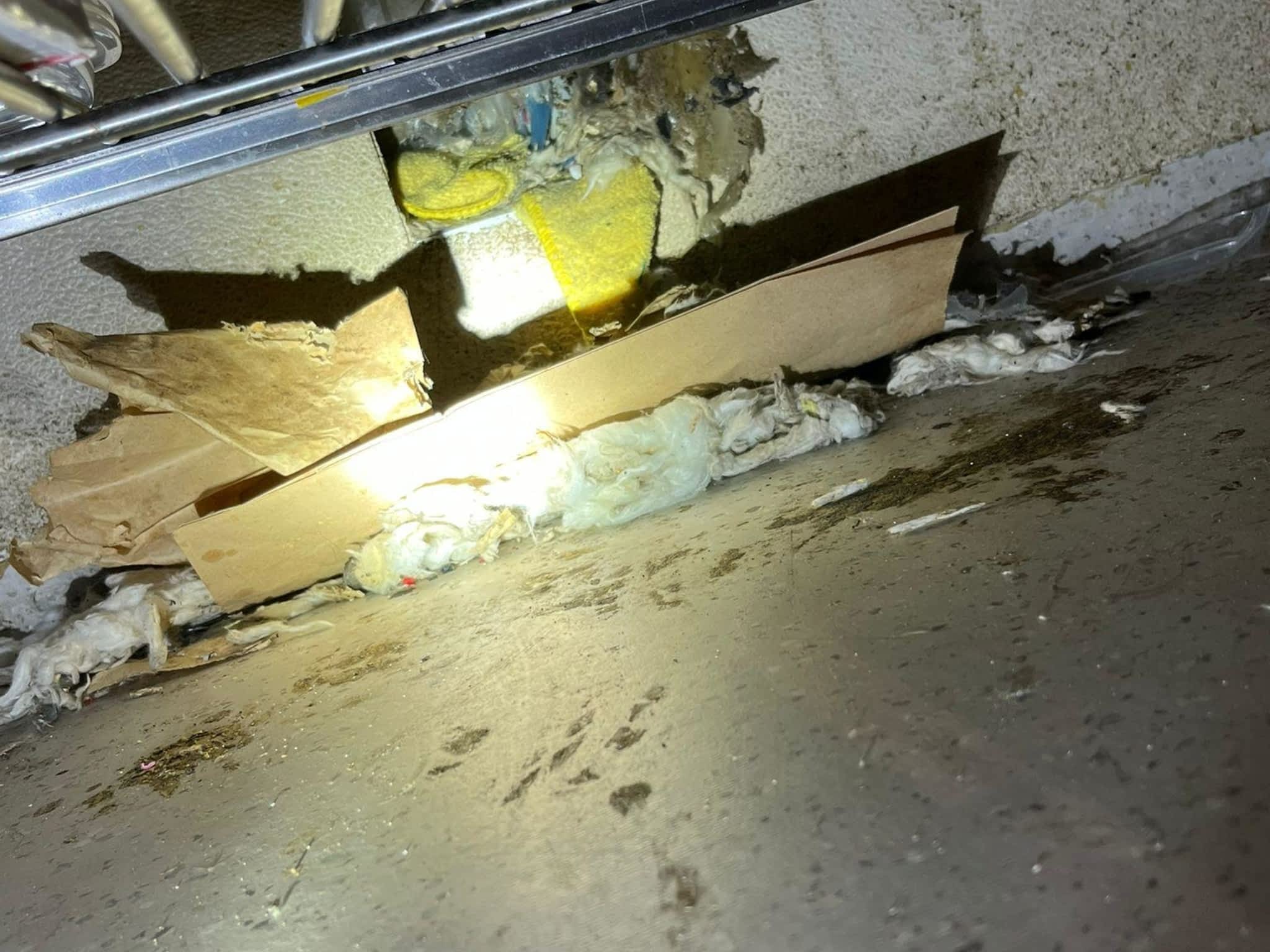 photo Phantom Pest Control Maple Ridge