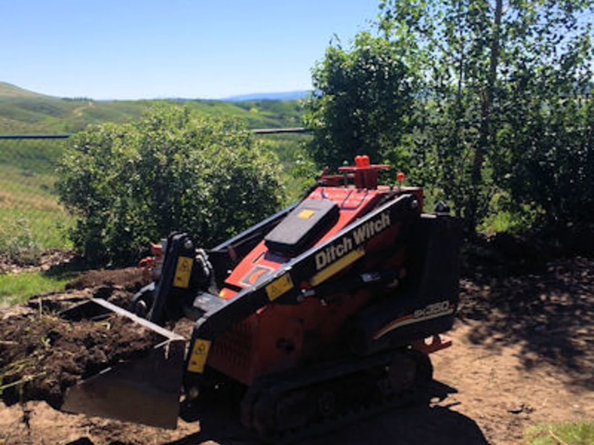 photo Evergreen Turf Southern Alberta