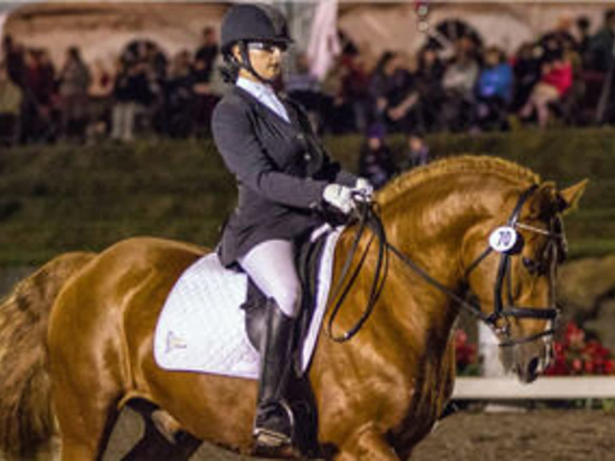 photo École d'Équitation De Villers