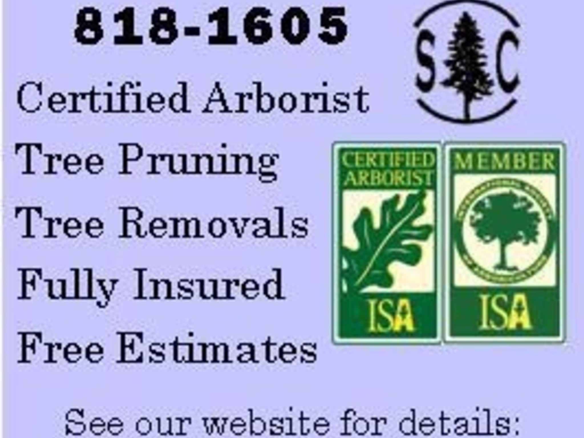 photo Solid Tree Care